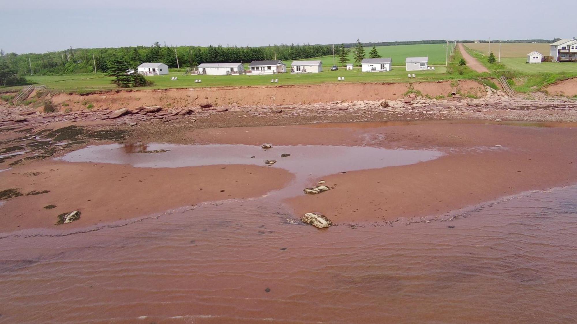Cottages On Pei-Oceanfront Bedeque エクステリア 写真